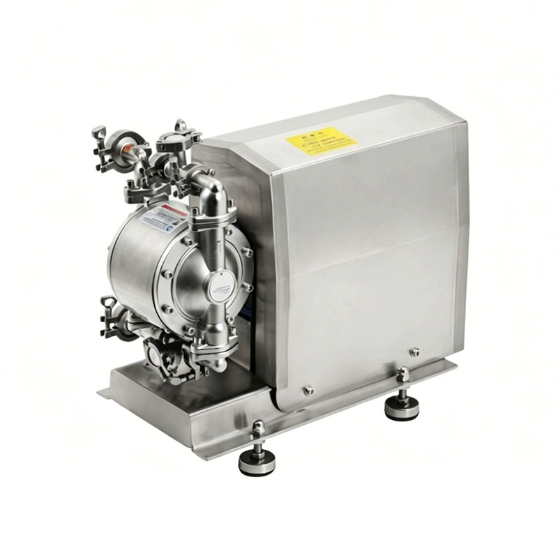 DBSY5 Series Stainless Steel Electric Diaphragm Pump Suitable for Low-Pressure Conditions